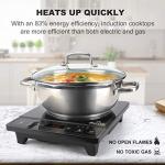 Duxtop 1800W Portable Induction Cooktop with Timer
