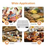 6-Pan Electric Food Warmer with Temperature Control