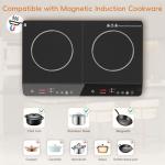 Zarbaco Portable Double Induction Cooktop - 1800W