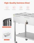 VEVOR 9-Pan Propane Steam Table for Outdoors