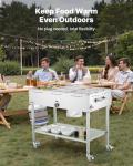 VEVOR 9-Pan Propane Steam Table for Outdoors