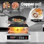 3500W Induction Cooktop for Food Trucks