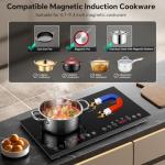 Portable 2-Burner Induction Cooktop with Touch Control