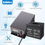 Briidea 1500W Sump Pump Battery Backup System