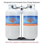 Flame King Dual Propane Tank Rack for RVs