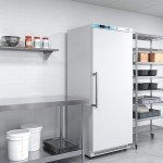 KoolMore 20 Cu. Ft. Commercial Reach-in Refrigerator