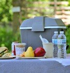 Koolatron 9.8qt Electric Cooler for Road Trips