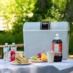 Koolatron 45 qt Portable Electric Cooler
