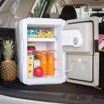 Koolatron 33 Qt Electric Cooler for Travel