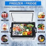 YEMENREN 12V/110V Electric Car Refrigerator Freezer
