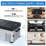 YEMENREN 12V/110V Electric Car Refrigerator Freezer