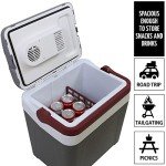 Koolatron 26 qt Electric Portable Cooler 12V