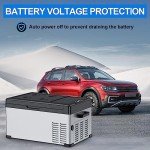 YEMENREN 12V/110V Electric Car Refrigerator Freezer