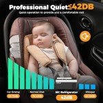 Setpower 20L Portable Electric Cooler for Vehicles