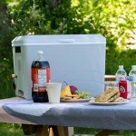 Koolatron 36 qt Electric Cooler for Road Trips