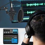 Bluetooth Audio Mixer for Food Trucks 5 Channel