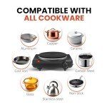 Single Electric Cast Iron Burner - 1000 Watts