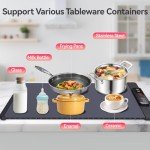 Portable Electric Warming Tray with Adjustable Settings