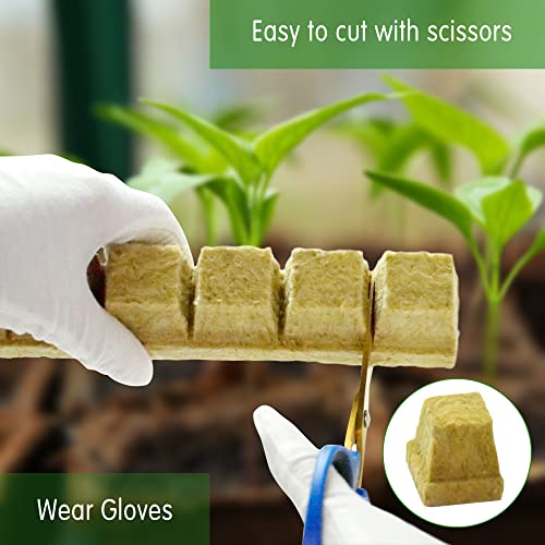 CastleGreens Rockwool Grow Cubes – 200 Plugs