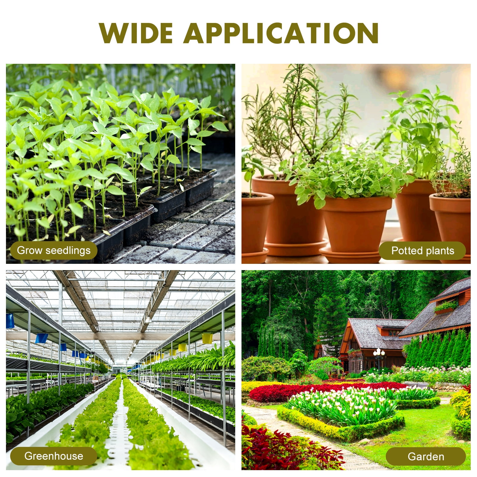 20 Hydroponic Mineral Wool Grow Starter Plugs