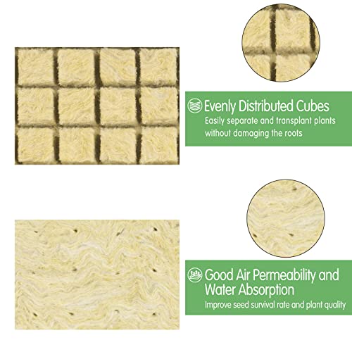 CastleGreens Rockwool Grow Cubes – 200 Plugs