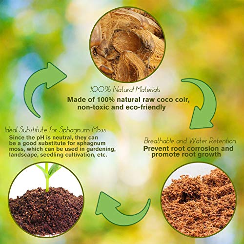 ZeeDix Organic Compressed Coconut Coir Bricks - 8 Pack