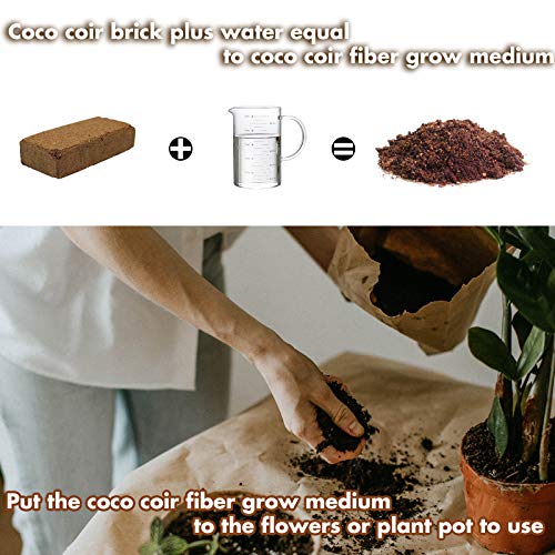 ZeeDix Organic Compressed Coconut Coir Bricks - 8 Pack