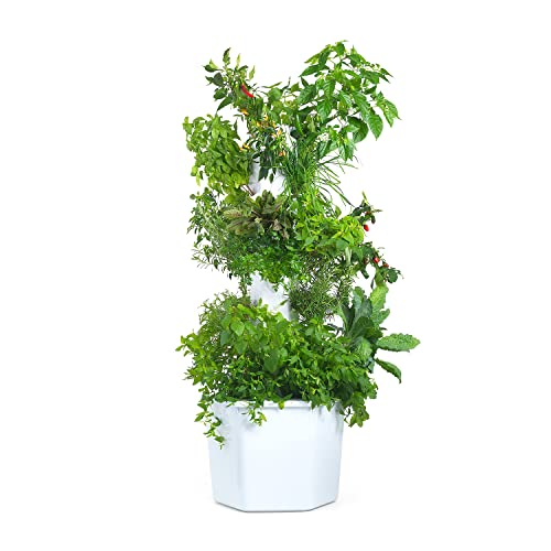27-Plant Vertical Hydroponic Growing System for Outdoors