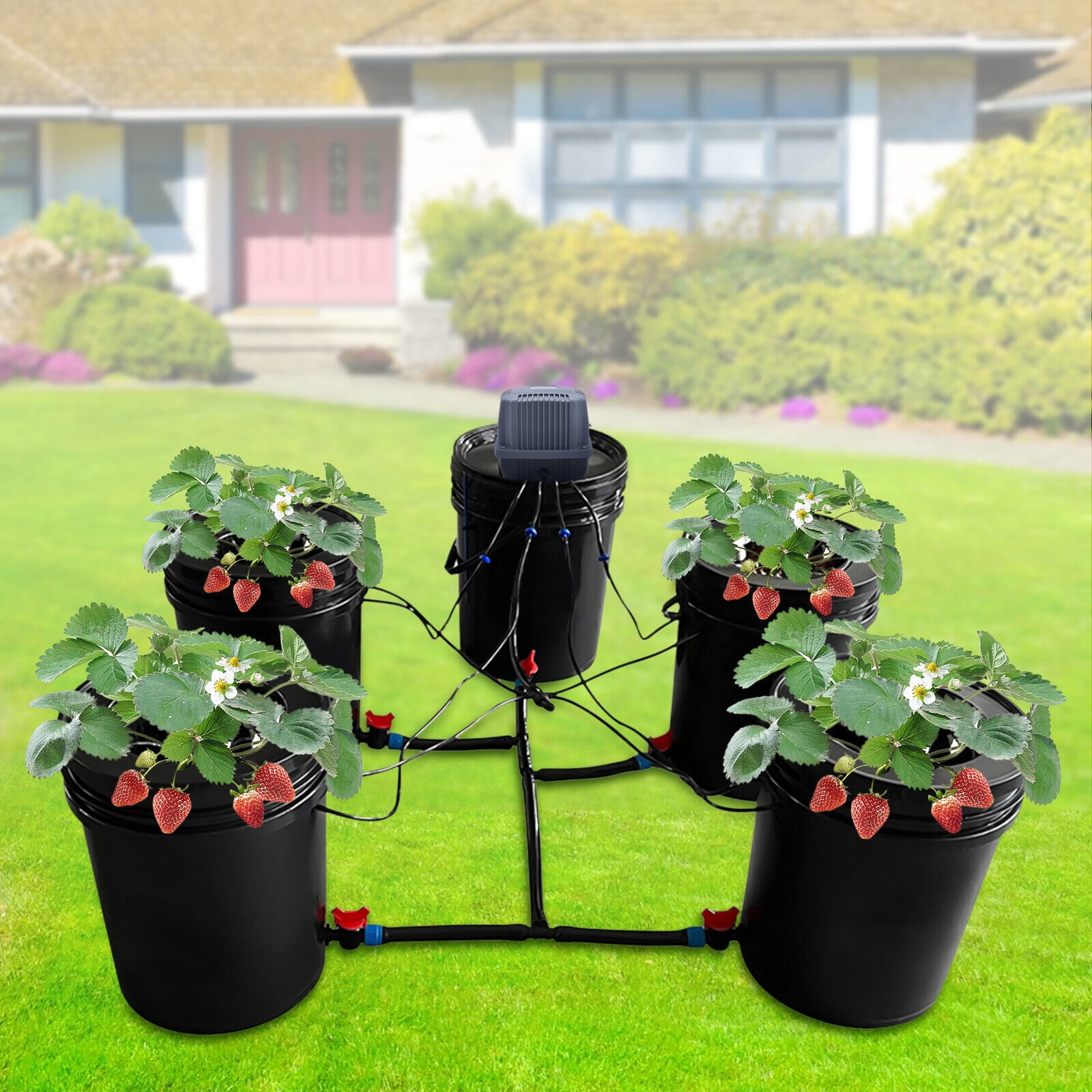 Multi Barrel Hydroponic Drip System with 4+1 Buckets