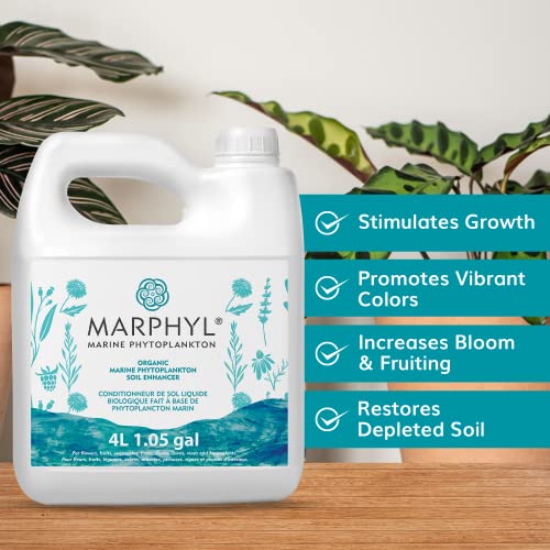 MARPHYL Organic All-Purpose Liquid Fertilizer
