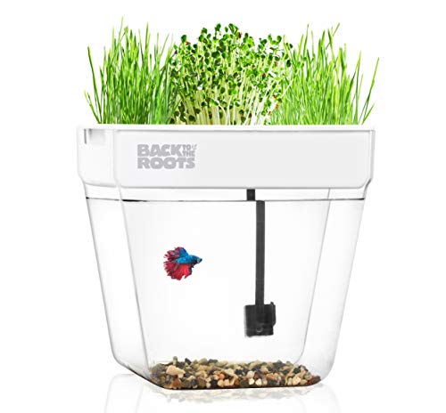 3 Gallon Aquaponic Indoor Garden with Fish Support