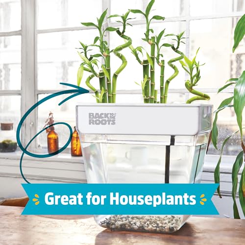 3 Gallon Aquaponic Indoor Garden with Fish Support
