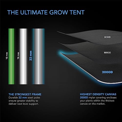 Ultimate 10x10 Hydroponic Grow Tent