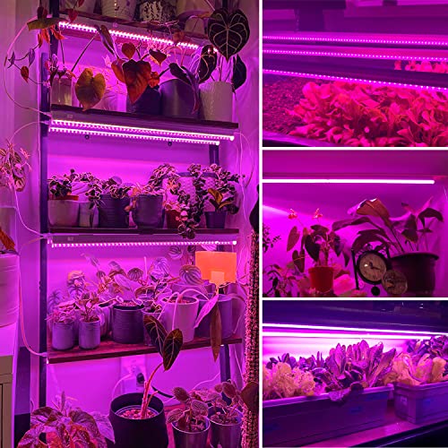 Monios-L 4ft T5 LED Grow Lights - 2-Pack