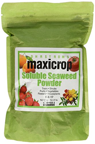Maxicrop Soluble Powder 10.7-Ounce Garden Nutrient
