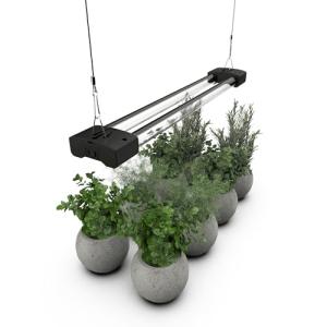 BoostGro Full Spectrum LED Grow Light 2FT
