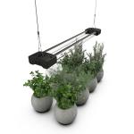 BoostGro Full Spectrum LED Grow Light 2FT