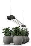 BoostGro Full Spectrum LED Grow Light 2FT