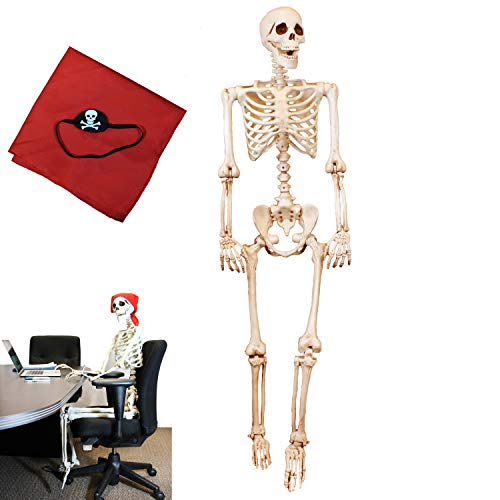 5FT Pose-N-Stay Life Size Halloween Skeleton