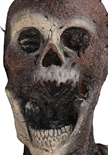 Skeleton in Coffin Halloween Prop by Distortions Unlimited