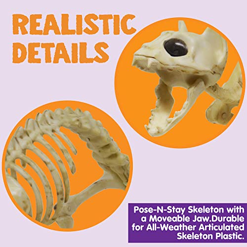 Skeleton Cat and Rat Halloween Yard Decor