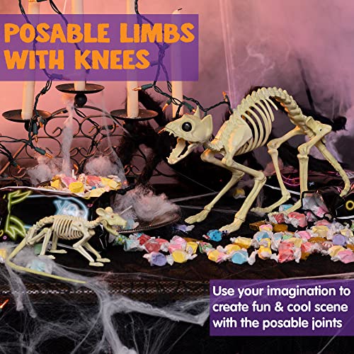 Skeleton Cat and Rat Halloween Yard Decor