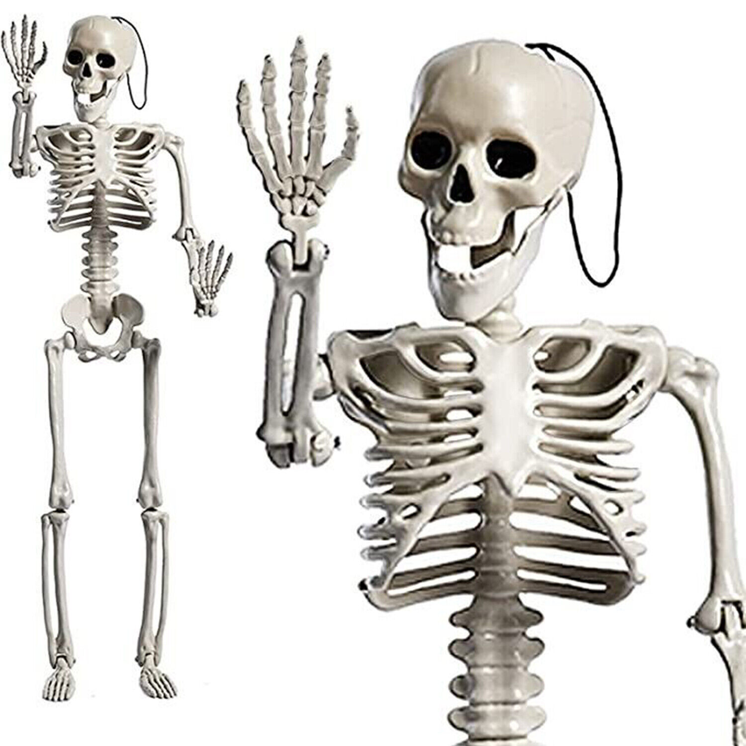 Poseable 5" x 16" Halloween Skeleton Decor
