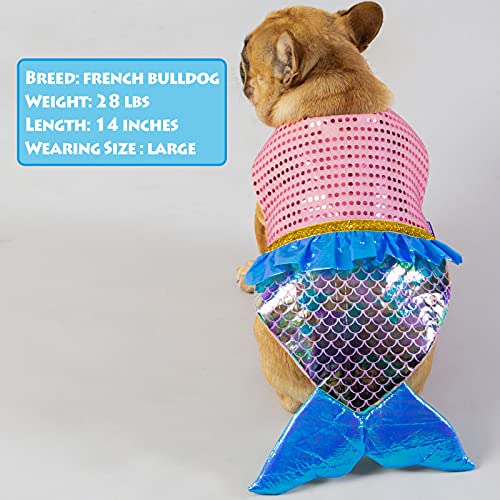 Mermaid Dog Costume for Halloween Party - M