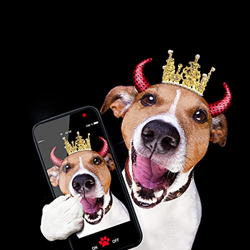 Small Dog Crown Headband for Costume Parties