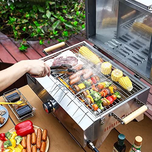 Portable Outdoor Gas Pizza Oven with Griller