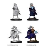 Nolzur's Miniature D&D Female Sorcerer Doll