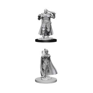D&D Miniatures: Human Ranger & Moon Elf Sorcerer