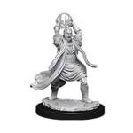 Male Elf Sorcerer Upainted Miniature - Wave 11