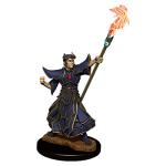 Male Human Sorcerer Miniature – Wave 11